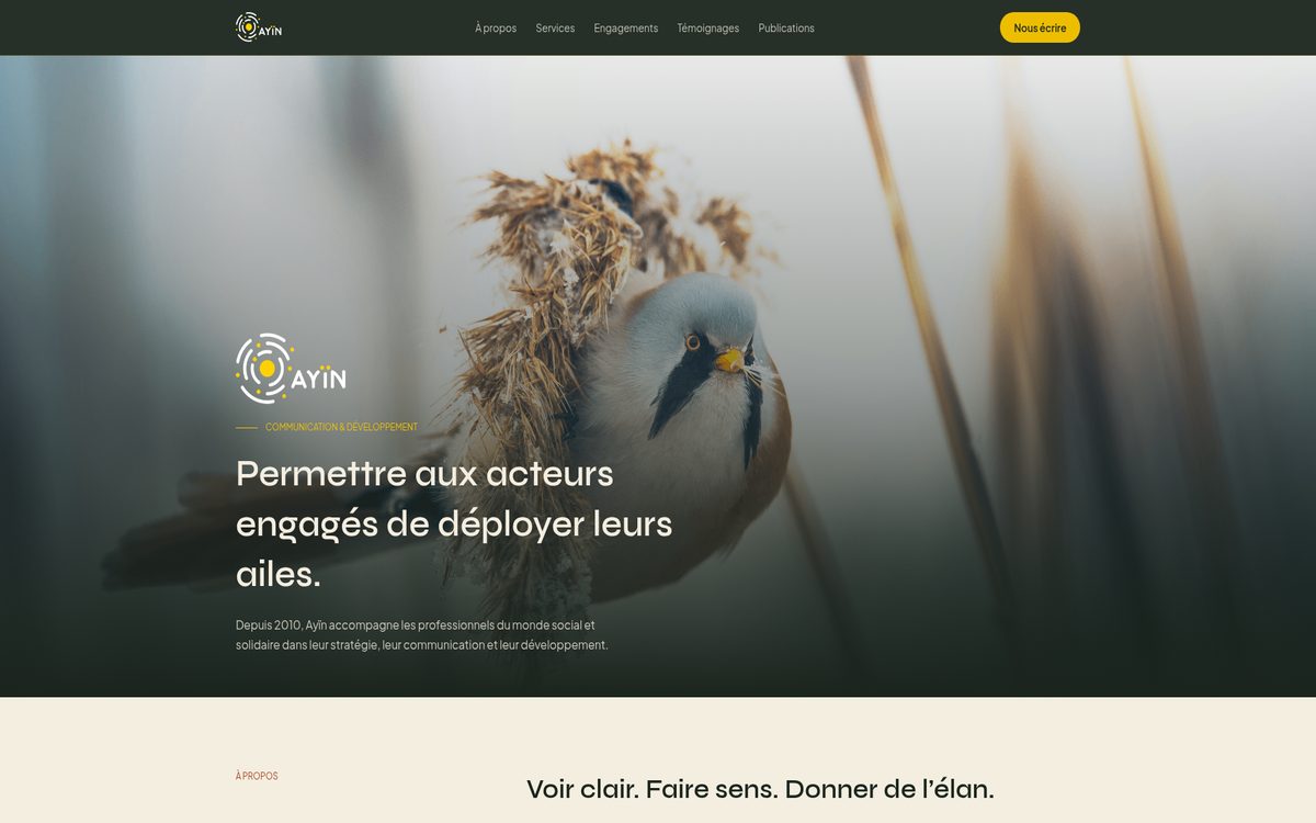 Page d'accueil du site Ayin Agence